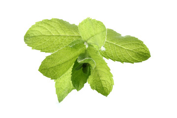 decoration of mint