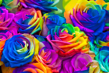 A bouquet of rainbow roses.