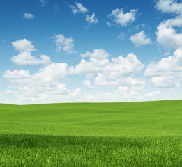 Rural landscape, empty green field with copy space