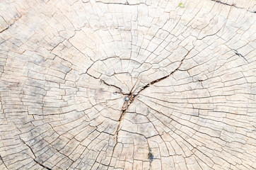 old, grunge wooden wall used as background