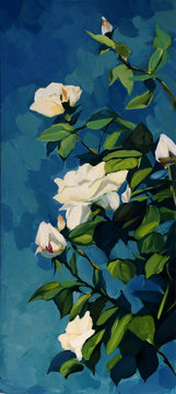 bush of white roses in the night dark blue sky, painting, illust