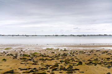 La manche coastline at low tide, Brittany