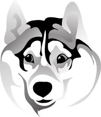 muzzle surprised dog vector drawing