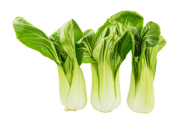 Chinese cabbage vegetable over white background