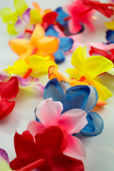 Close-up colorful Hawaiian lei with bright flowers on white back