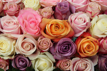 Pastel wedding roses
