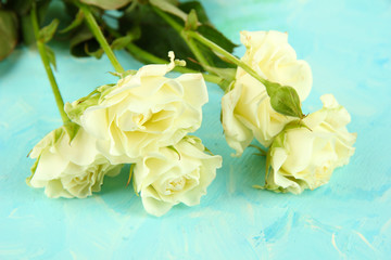 Obraz na płótnie Canvas Beautiful white roses close-up, on color background