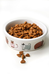Dry cat food in a ceramic bowl