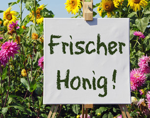 Frischer Honig !