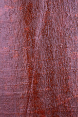 wood bark