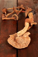 Dried mushrooms on wooden background