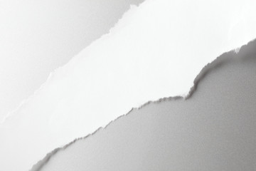 Paper Tear Background