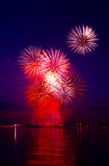 Colorful firework in a night sky