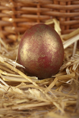 Close-up portrait of red and golden egg