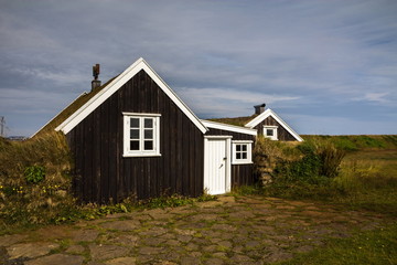 Fototapeta na wymiar house with grass