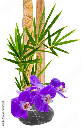 Composition Zen Orchidee Sur Galet Et Bambou Wall Mural Wallpaper Murals Unclesam