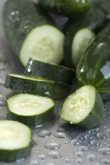 Cucumber