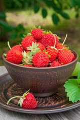 Strawberries on a bowl in the summer garden