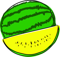 Hand drawn watermelon vector