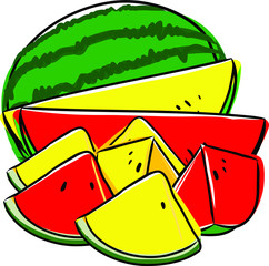 Hand drawn watermelon vector