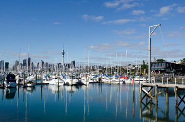 Fototapeta na wymiar Westhaven Marina - Auckland