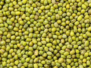 Mung bean background