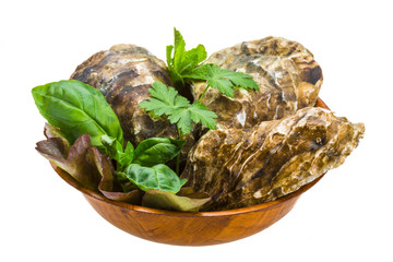 Fresh oyster