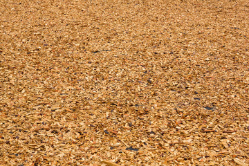 lawn strewed by wooden chips