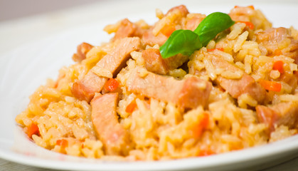rice with meat