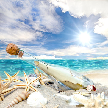 Gute Reise: Flaschenpost, angespült an Strand