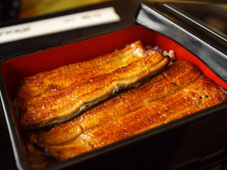 Japan eel rice box
