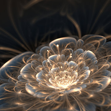 Fototapeta dark blue fractal flower with golden rays