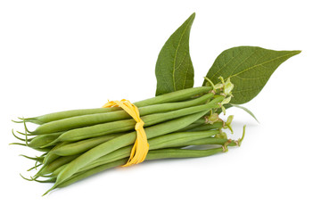 Green beans isolated_V