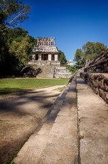 Palenque : Temple du comte vu des marches