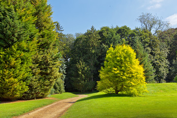 Path in the park.