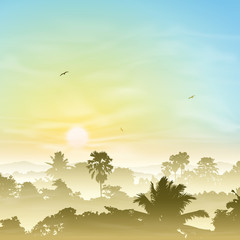 Obraz premium A Misty Landscape with Palm Trees and Sunset, Sunrise