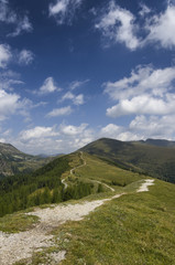 Austrian Landscape with Alps