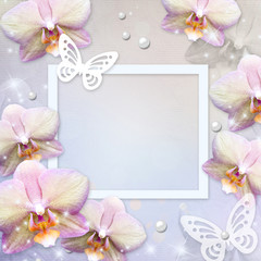 orchids border and butterfly