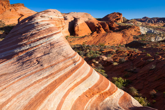 The Wave in Valley of Fire