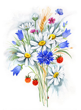Watercolor bouquet of daisies