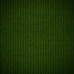 Fototapeta premium green abstract canvas background