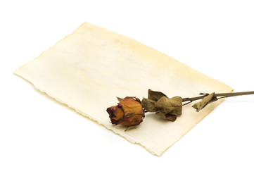 Old paper with dried rose