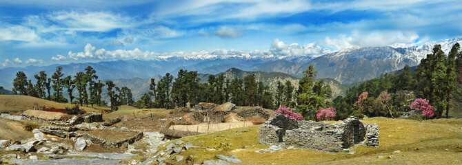 Alpine panorama of the Himalayas. India, Uttarakhand, Chopta.