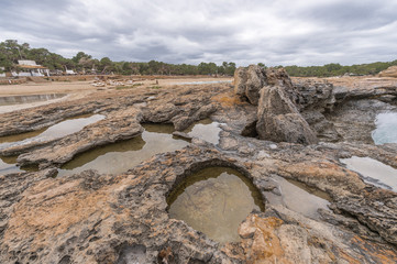 Bassa beach in Ibiza