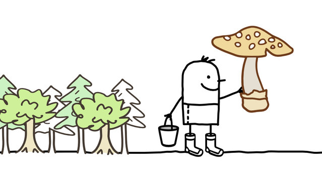 mushroom & forest