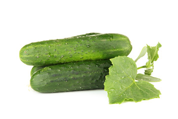 Tasty green cucumbers, isolated on white