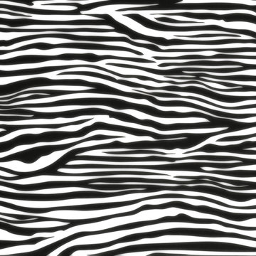 Zebra seamless pattern