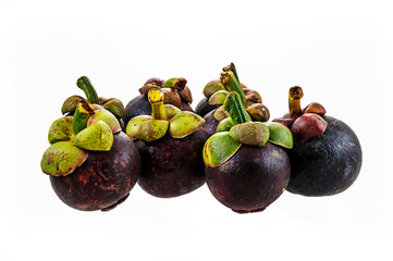 Mangosteen