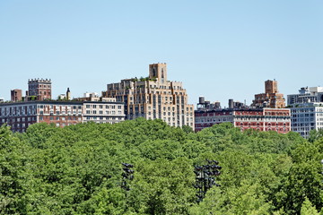 Fototapeta na wymiar buildings et arbres verts. New York