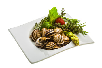 Escargot with asparagus, rosemary, thymus and tomato